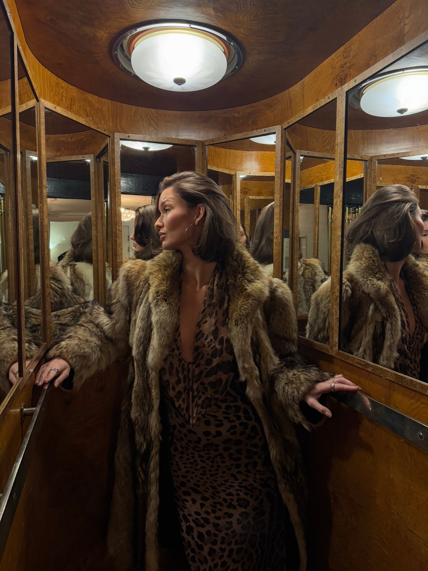 Kolumbine Kleid - Leopardenmuster